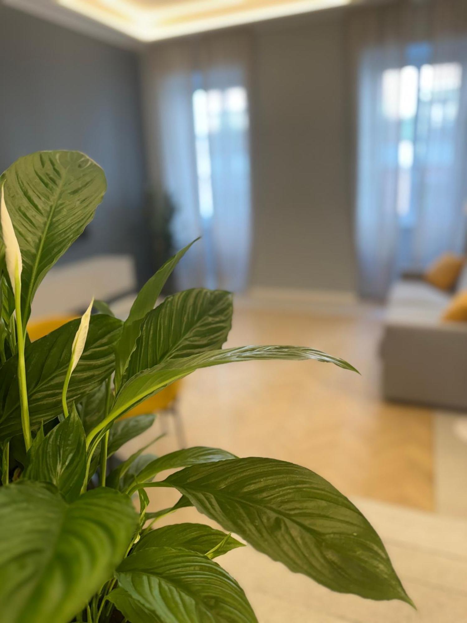Teatro Exclusive Apartment